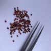 2mm Natural Red Garnet Smooth Round Cabochon