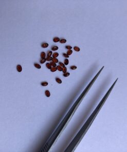 2x3mm Natural Red Garnet Oval Cut Gemstone
