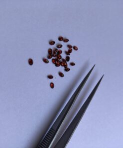 3x2mm Natural Red Garnet Oval Cut Gemstone