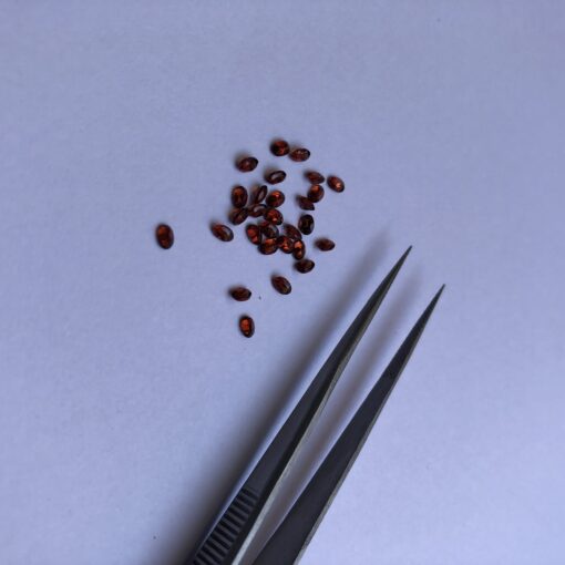 3x2mm Natural Red Garnet Oval Cut Gemstone