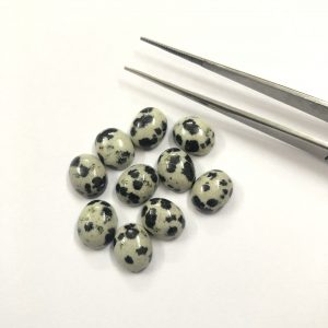 dalmatian jasper Cabochon